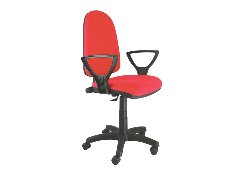 web shop DS131R