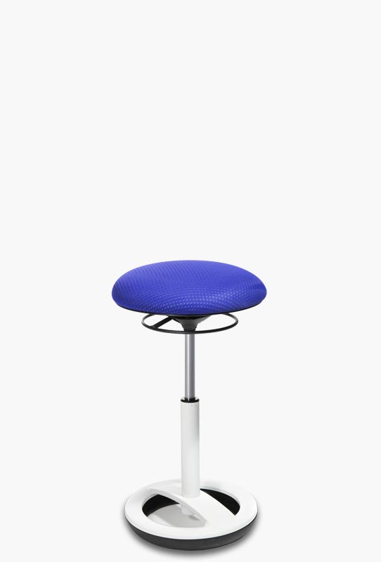 web shop MS 51 